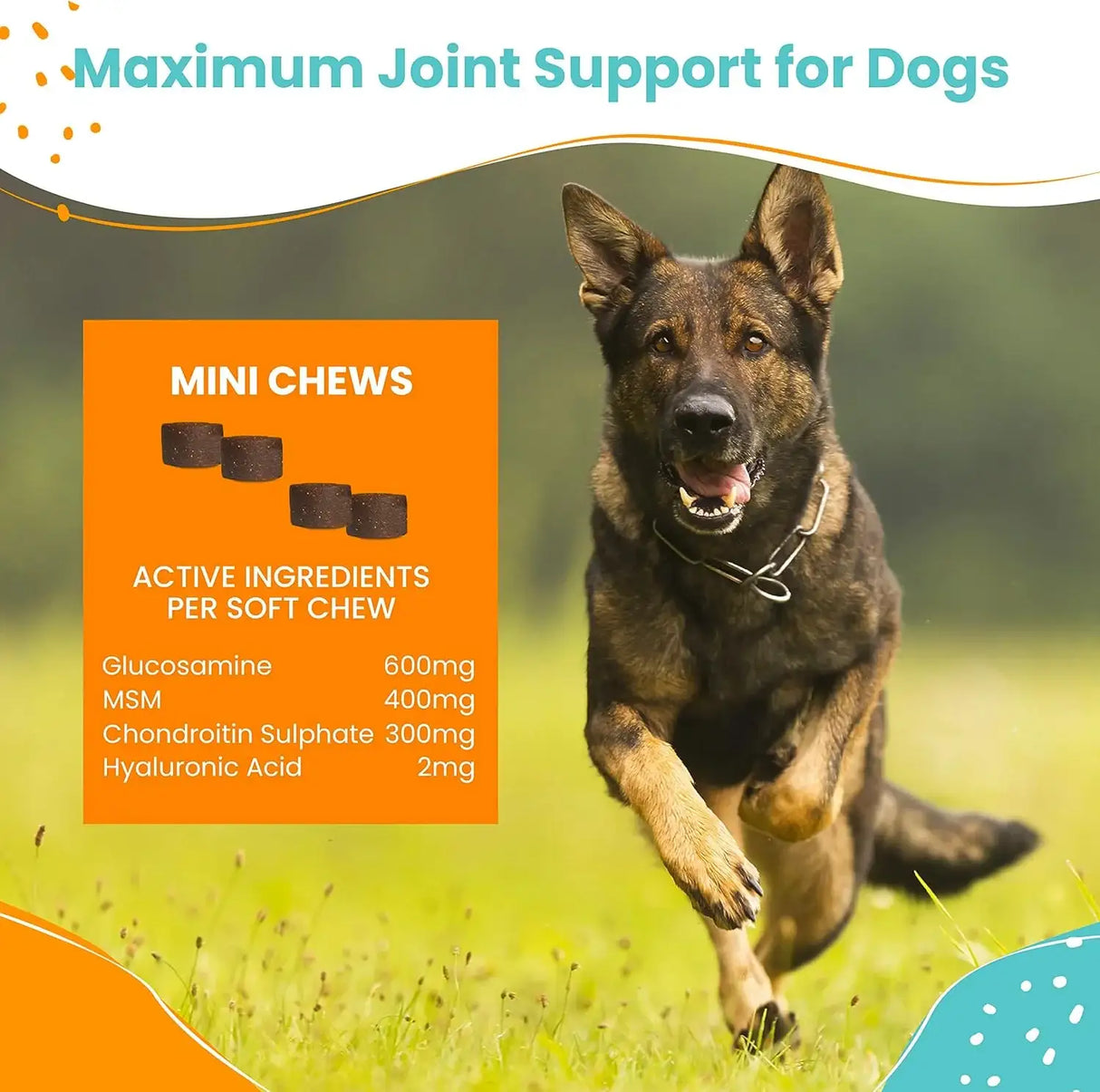 NOOTIE - Nootie Hip and Joint Soft Chews Supplement for Dogs 250 Masticables - The Red Vitamin MX - Cuidado De Cadera Y Articulaciones Para Perros - {{ shop.shopifyCountryName }}