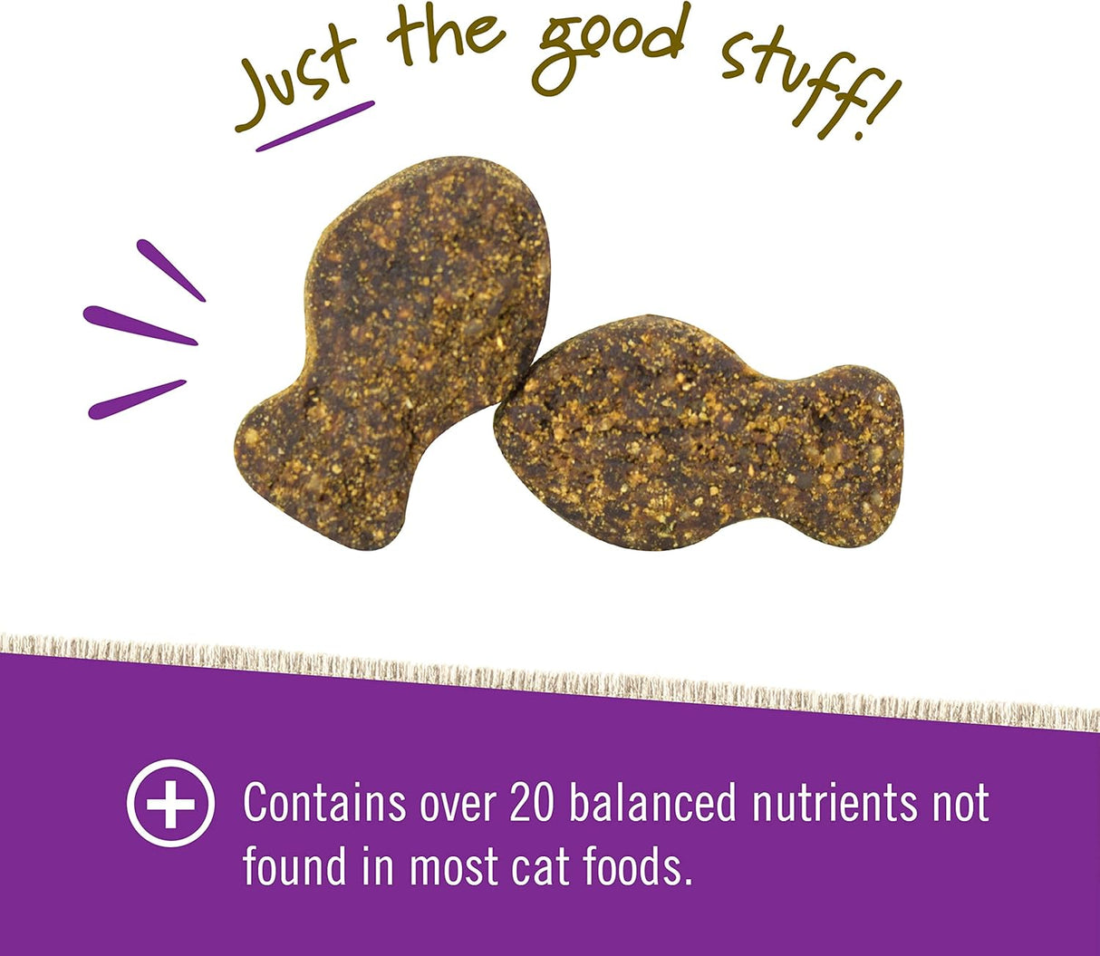 Pet Naturals Daily Multivitamin for Cats Fish Flavored 30 Masticables