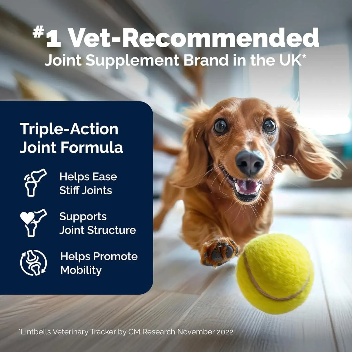 YUMOVE - Yumove Dog Joint Supplement 300 Masticables - The Red Vitamin MX - Cuidado De Cadera Y Articulaciones Para Perros - {{ shop.shopifyCountryName }}
