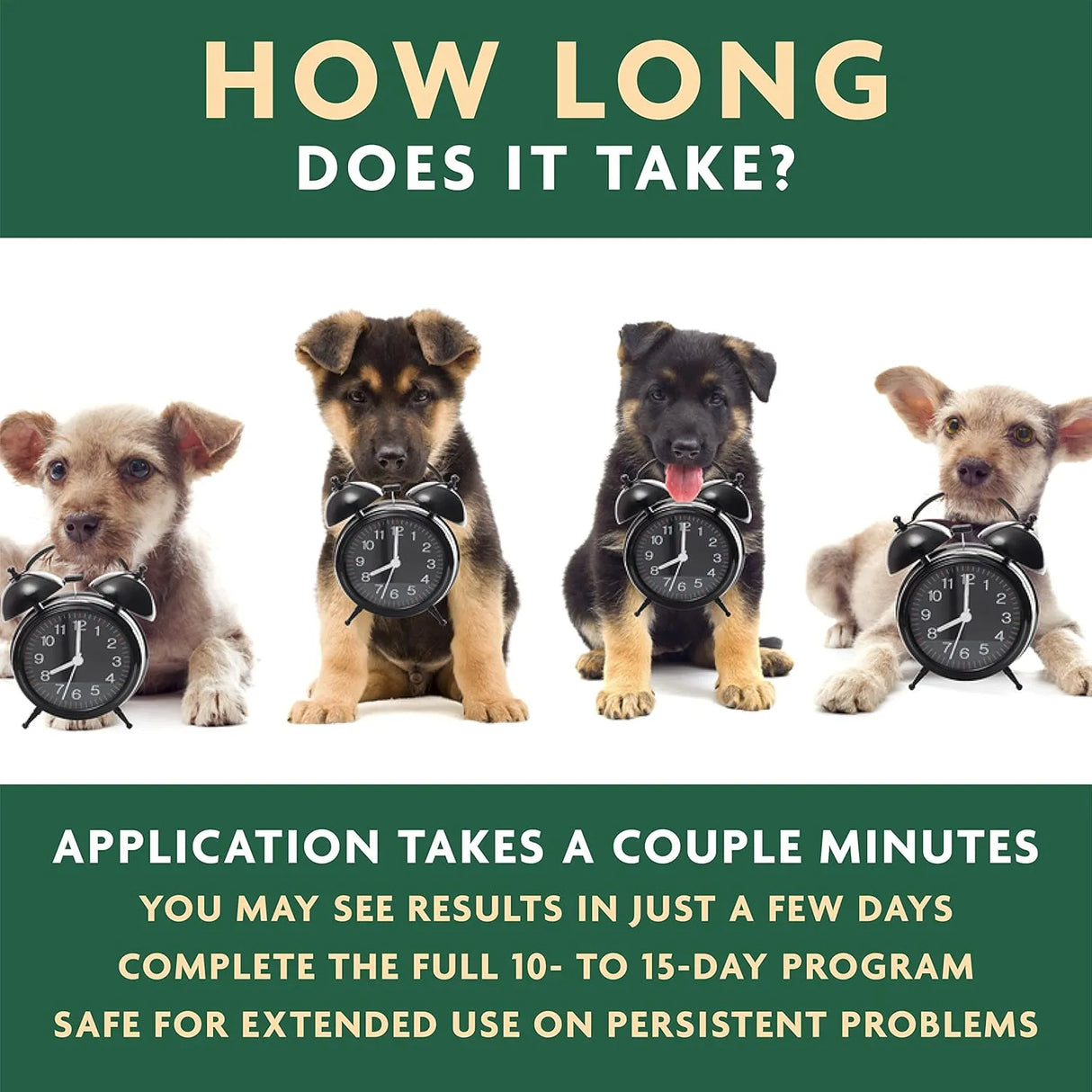 VET ORGANICS - Vet Organics EcoEars Dog Ear Cleaner Solution 8 Fl.Oz. 2 Pack - The Red Vitamin MX - Cuidado Del Oído De Perros - {{ shop.shopifyCountryName }}