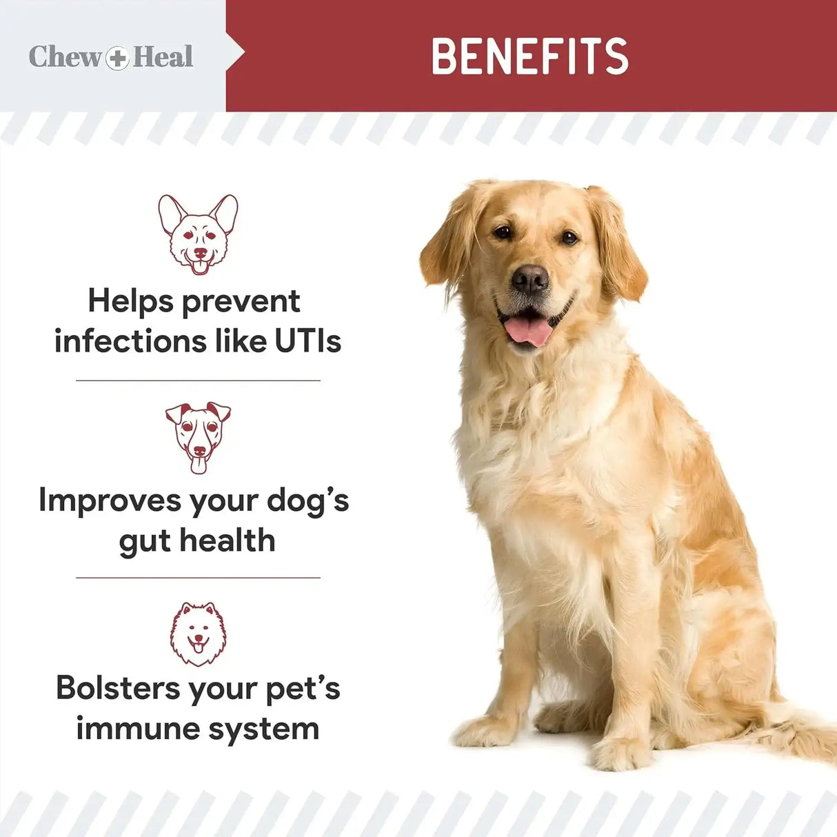 CHEW + HEAL - Chew + Heal Labs Dog UTI Treatment Cranberry Supplement for Dogs 120 Masticables - The Red Vitamin MX - Salud De Tracto Urinario Para Perros - {{ shop.shopifyCountryName }}