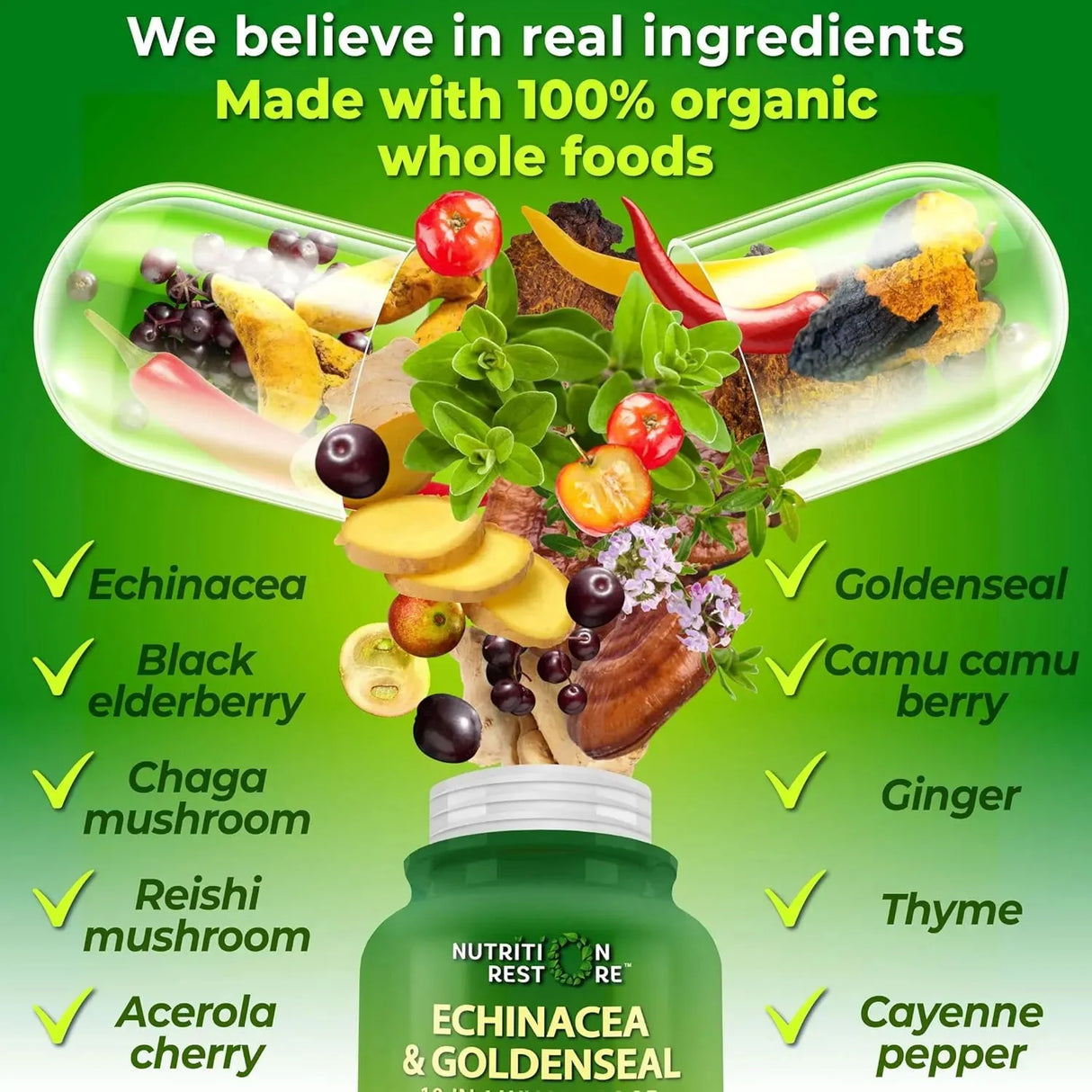 NUTRITION RESTORE - Nutrition Restore Echinacea Goldenseal 120 Capsulas - The Red Vitamin MX - Suplementos Alimenticios - {{ shop.shopifyCountryName }}