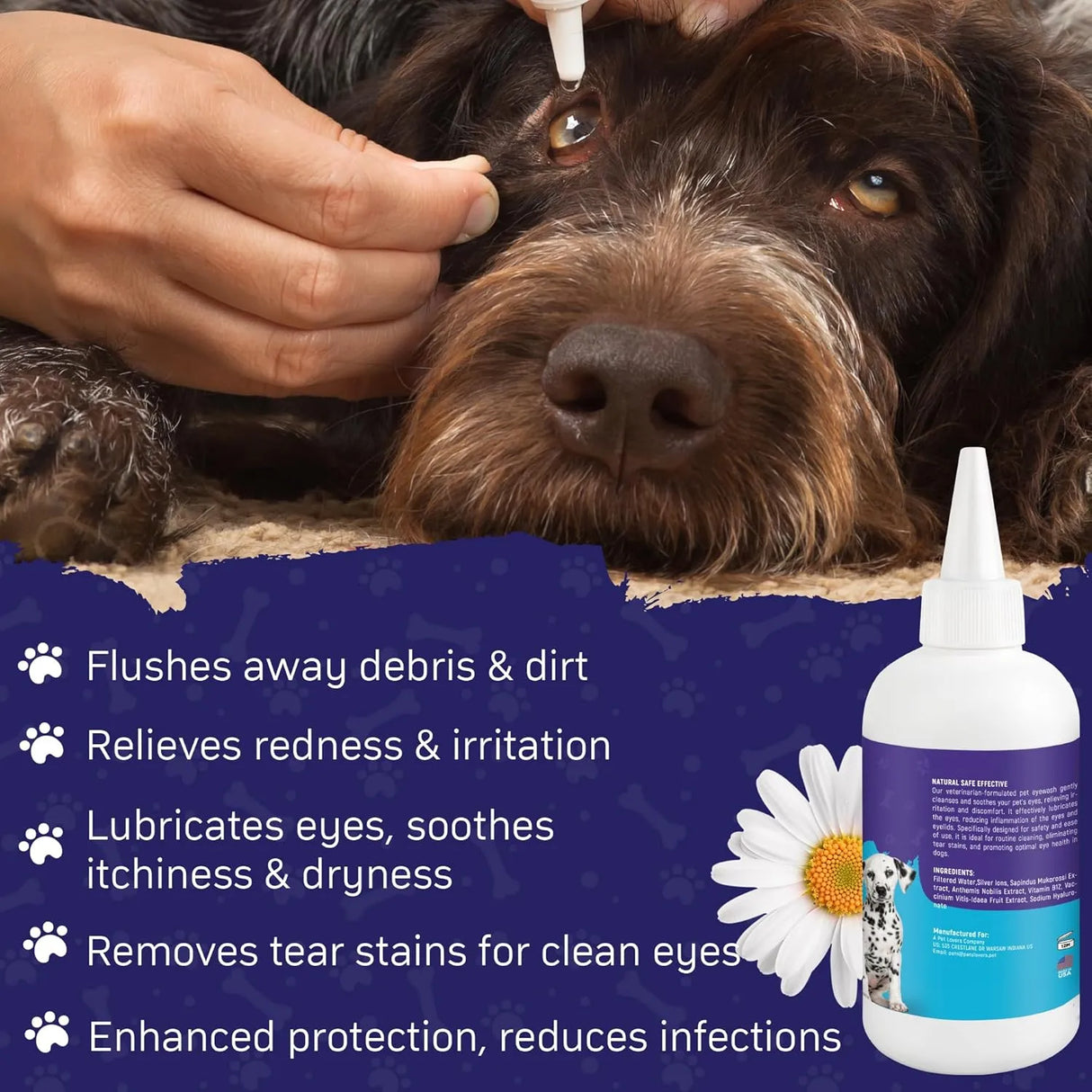 SPANIELBUNS - Spanielbuns Dog Eye Drops 200Ml. 2 Pack - The Red Vitamin MX - Cuidado De Los Ojos De Los Perros - {{ shop.shopifyCountryName }}