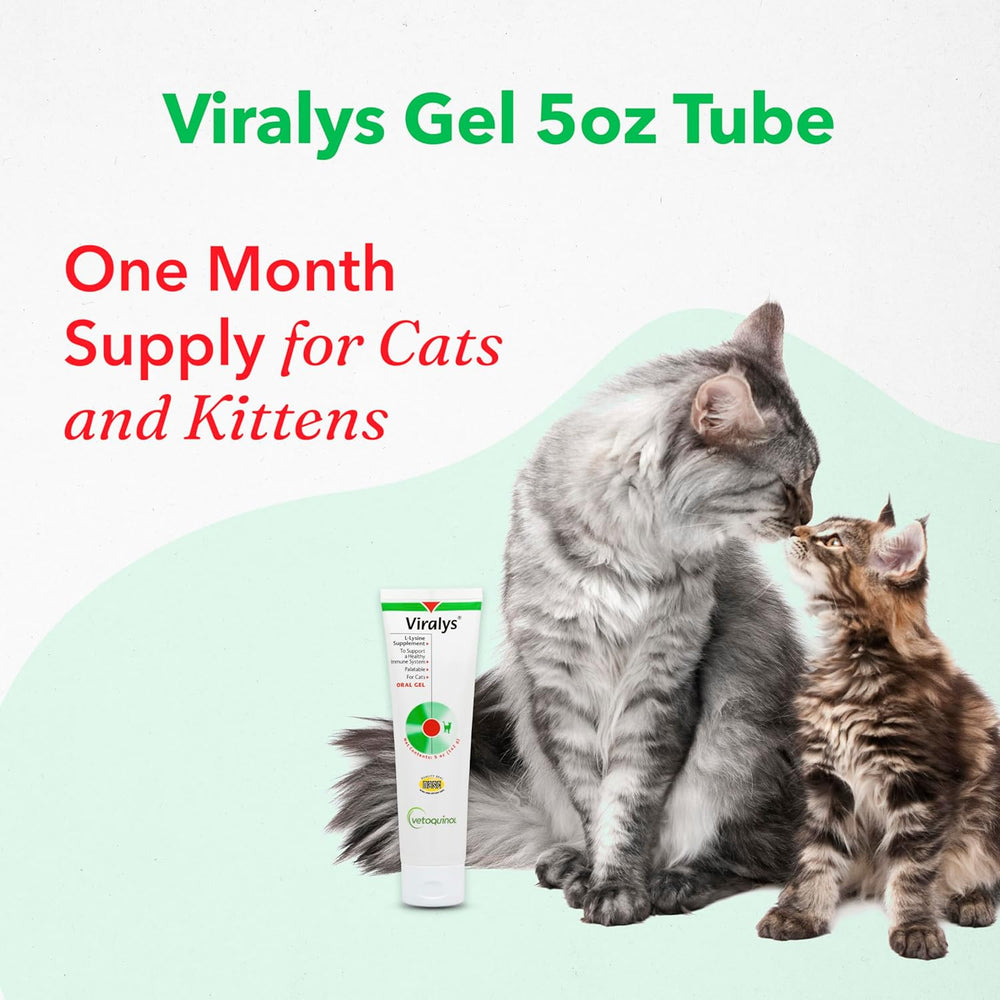 Vetoquinol Viralys Daily L-Lysine Gel for Cats and Kittens 142Gr. 2 Pack