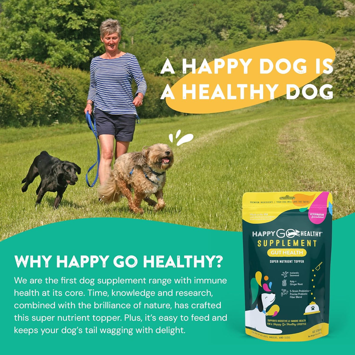 HAPPY GO HEALTHY Dog Gut Health Probiotics Supplement 60 Servicios