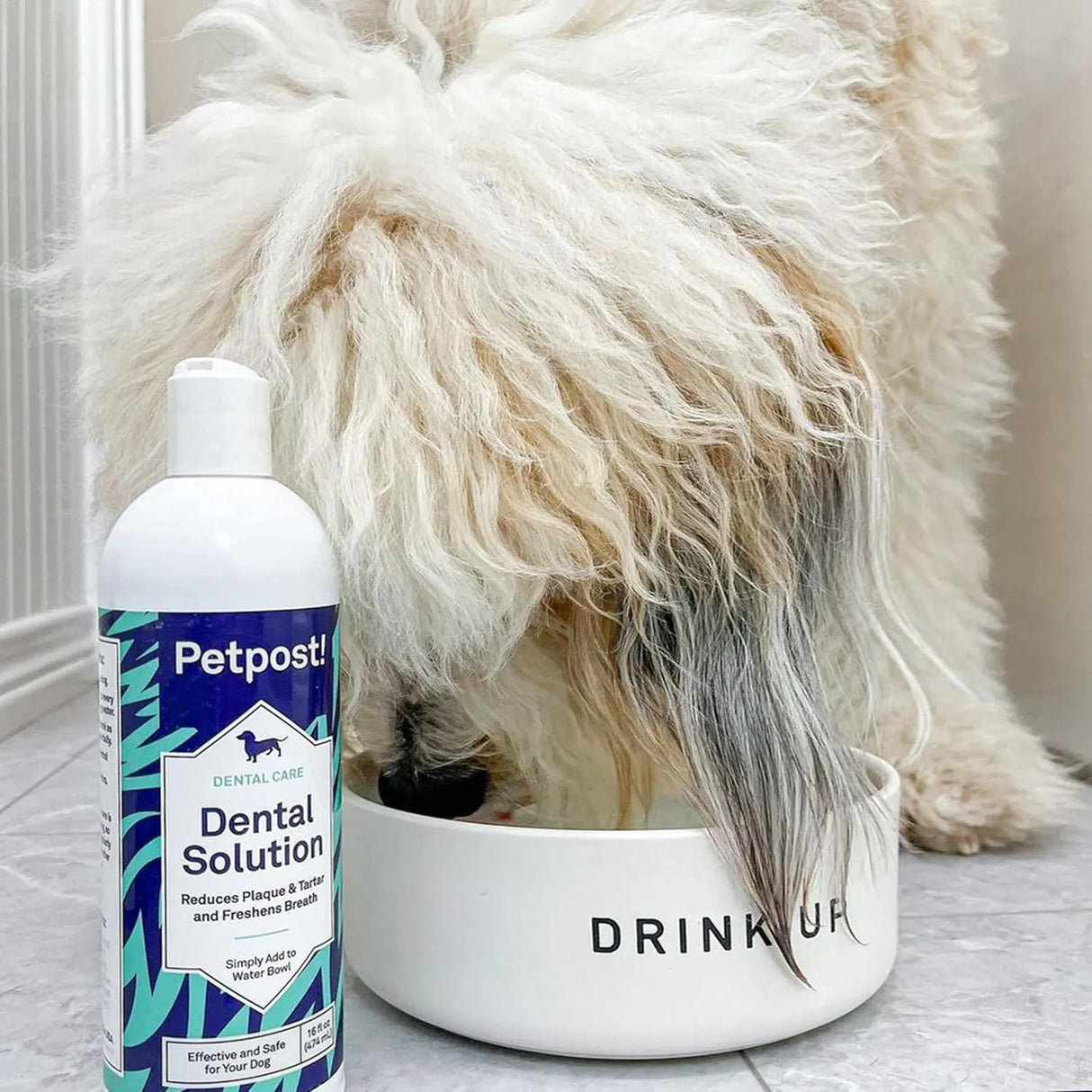 PETPOST - Petpost Dental Solution for Dogs Water Additive 474Ml. - The Red Vitamin MX - Cuidado Dental Para Perros - {{ shop.shopifyCountryName }}
