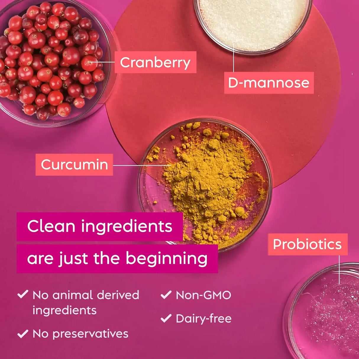 VAGISIL - Vagisil Urinary Tract Health 30 Capsulas - The Red Vitamin MX - Suplementos Alimenticios - {{ shop.shopifyCountryName }}