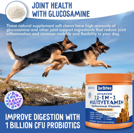 ZENBITES - ZenBites 12-in-1 Dog Vitamins & Probiotics 120 Masticables - The Red Vitamin MX - Multivitamínicos Para Perros - {{ shop.shopifyCountryName }}