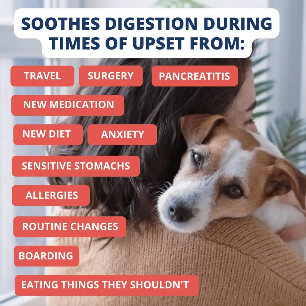 UNDER THE WEATHER - Under the Weather Bland Diet for Dogs Turkey Oatmeal Sweet Potato & Slippery Elm 6 Oz. 2 Pack - The Red Vitamin MX - Medicamentos Sin Receta Para Perros - {{ shop.shopifyCountryName }}