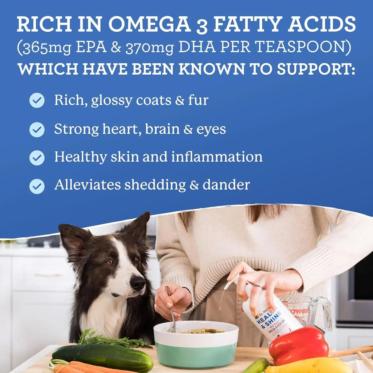 DR. HARVEY'S - Dr. Harvey’s Health & Shine Omega 3 Fish Oil for Dogs 16 Fl.Oz. - The Red Vitamin MX - Aceite De Pescado Para Perros - {{ shop.shopifyCountryName }}