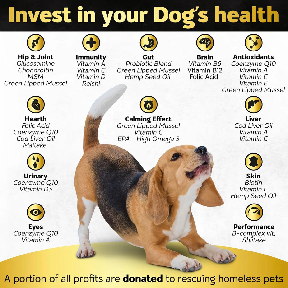 LIFE4LEGS - Life4Legs Soft Chews Dog Vitamins & Supplements Bacon 90 Masticables - The Red Vitamin MX - Multivitamínicos Para Perros - {{ shop.shopifyCountryName }}