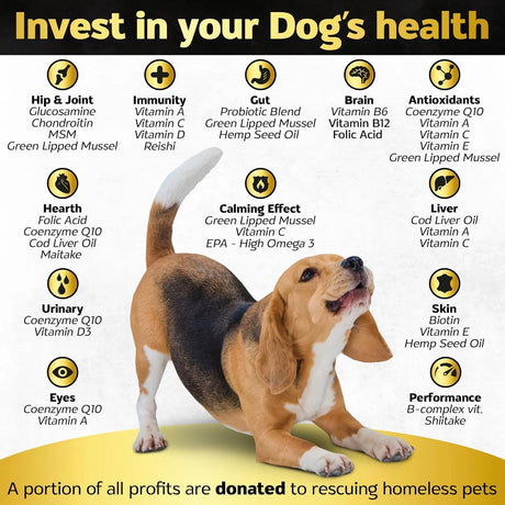LIFE4LEGS - Life4Legs Soft Chews Dog Vitamins & Supplements Bacon 90 Masticables - The Red Vitamin MX - Multivitamínicos Para Perros - {{ shop.shopifyCountryName }}