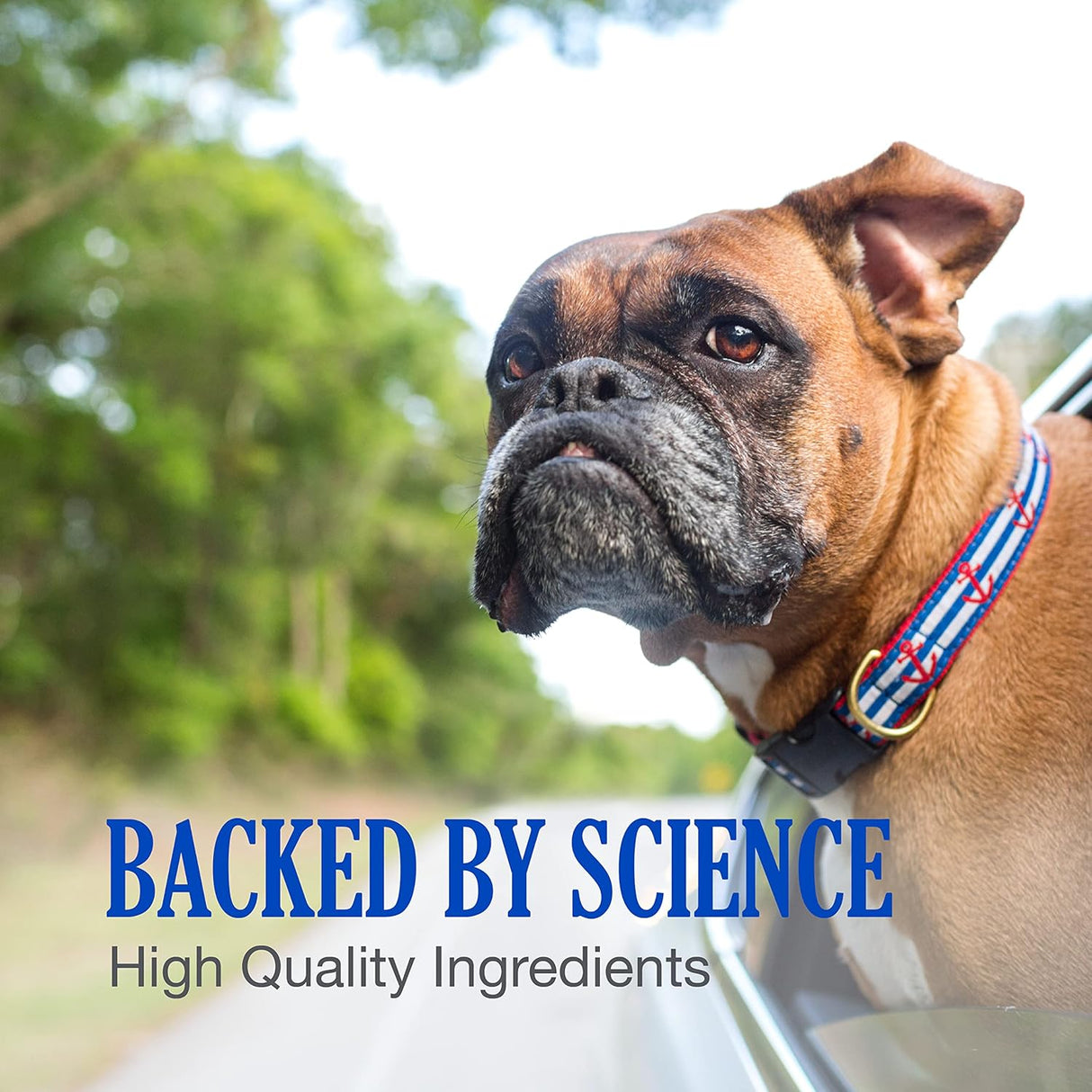 Nutramax Laboratories Cobalequin B12 Supplement for Medium to Large Dogs 45 Tabletas Masticables