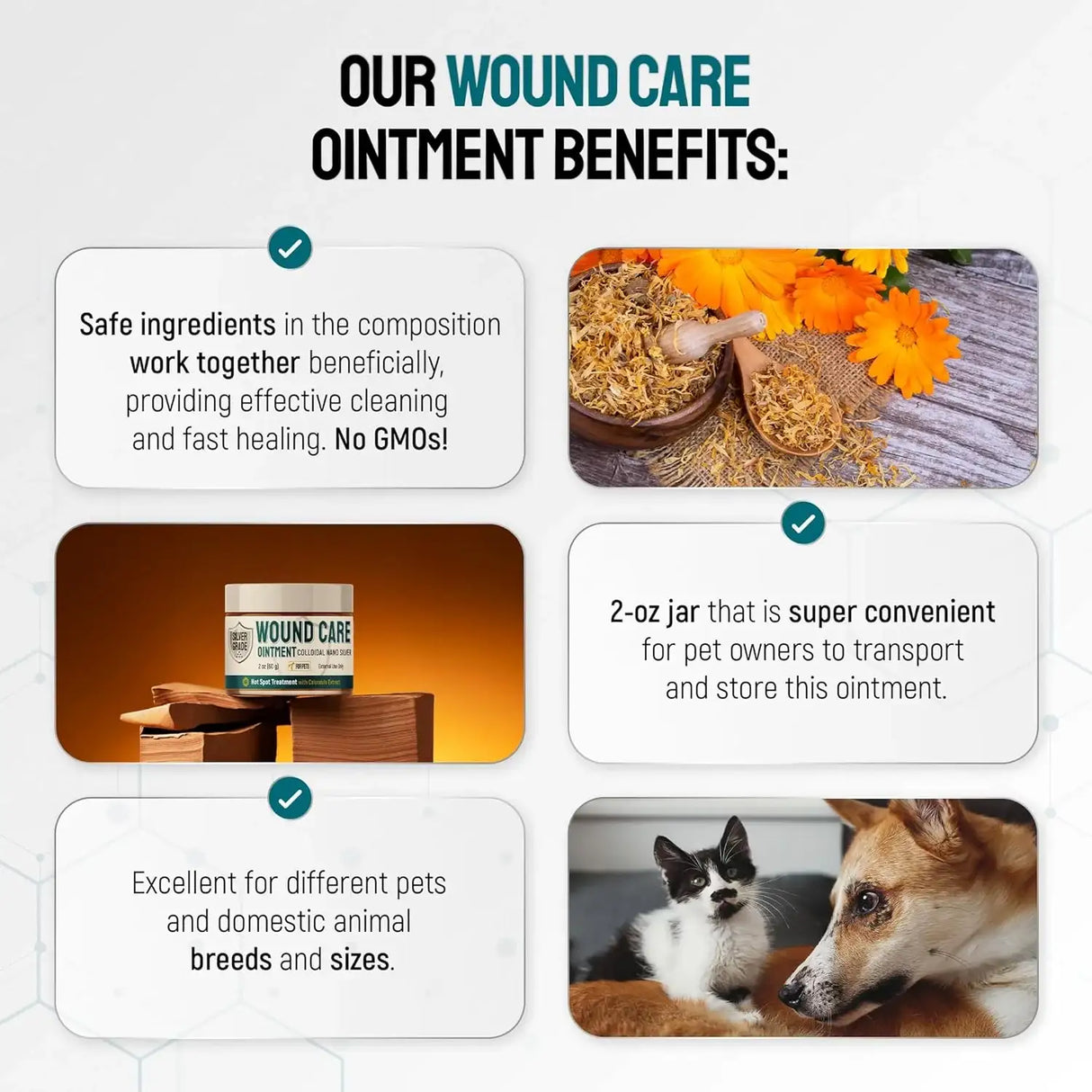 SILVER GRADE - SILVER GRADE Hot Spot Treatment for Dogs 2 Oz. - The Red Vitamin MX - Remedios Para La Picazón De Perros - {{ shop.shopifyCountryName }}