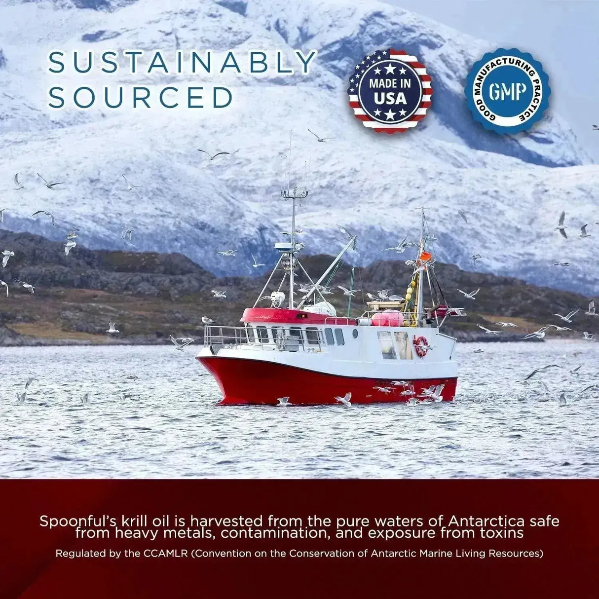 SPOONFUL - Spoonful Mini Krill Oil 375Mg. 390 Capsulas Blandas - The Red Vitamin MX - Suplementos Alimenticios - {{ shop.shopifyCountryName }}
