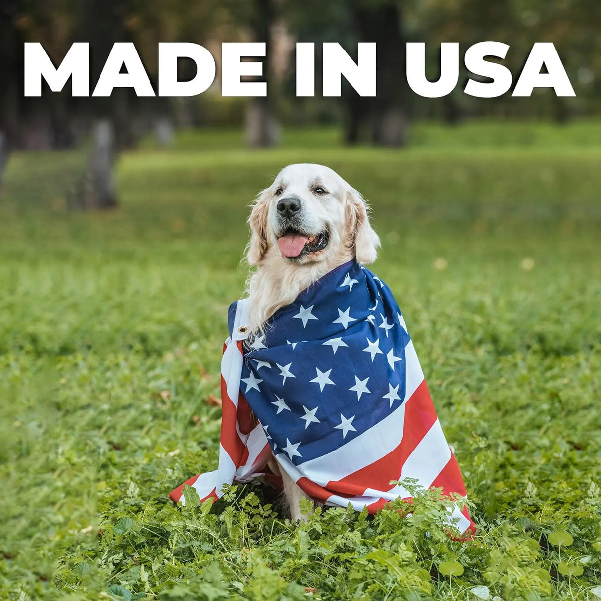 FORTICEP - Forticept Dog and Cat Ear Infection Treatment 2 Fl.Oz. - The Red Vitamin MX - Cuidado Del Oído De Perros - {{ shop.shopifyCountryName }}