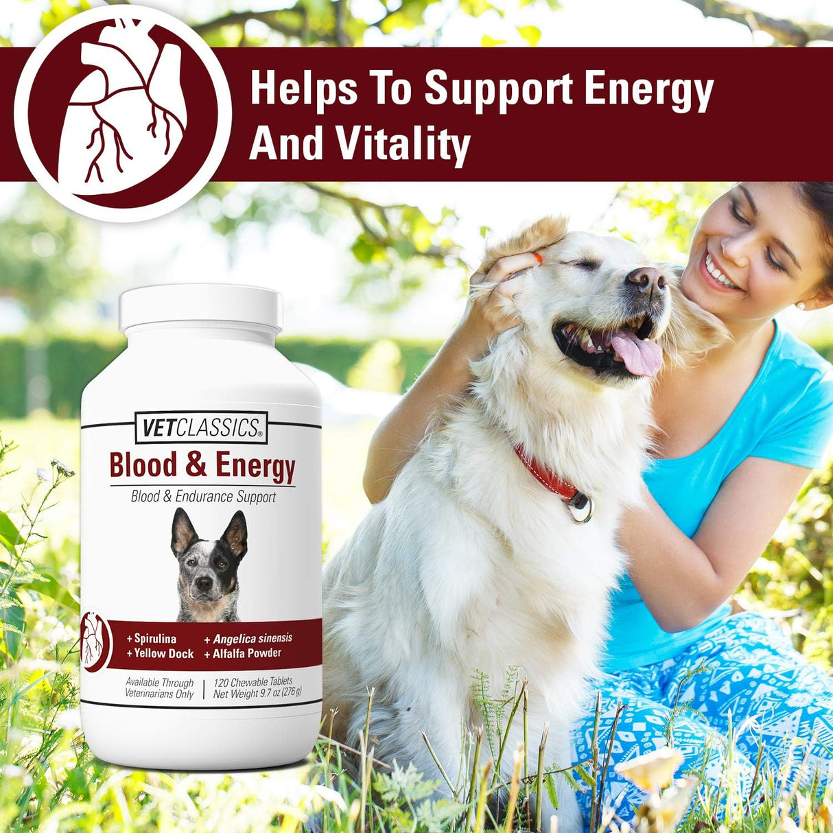 Vet Classics Blood & Energy Support for Dogs 120 Tabletas Masticables