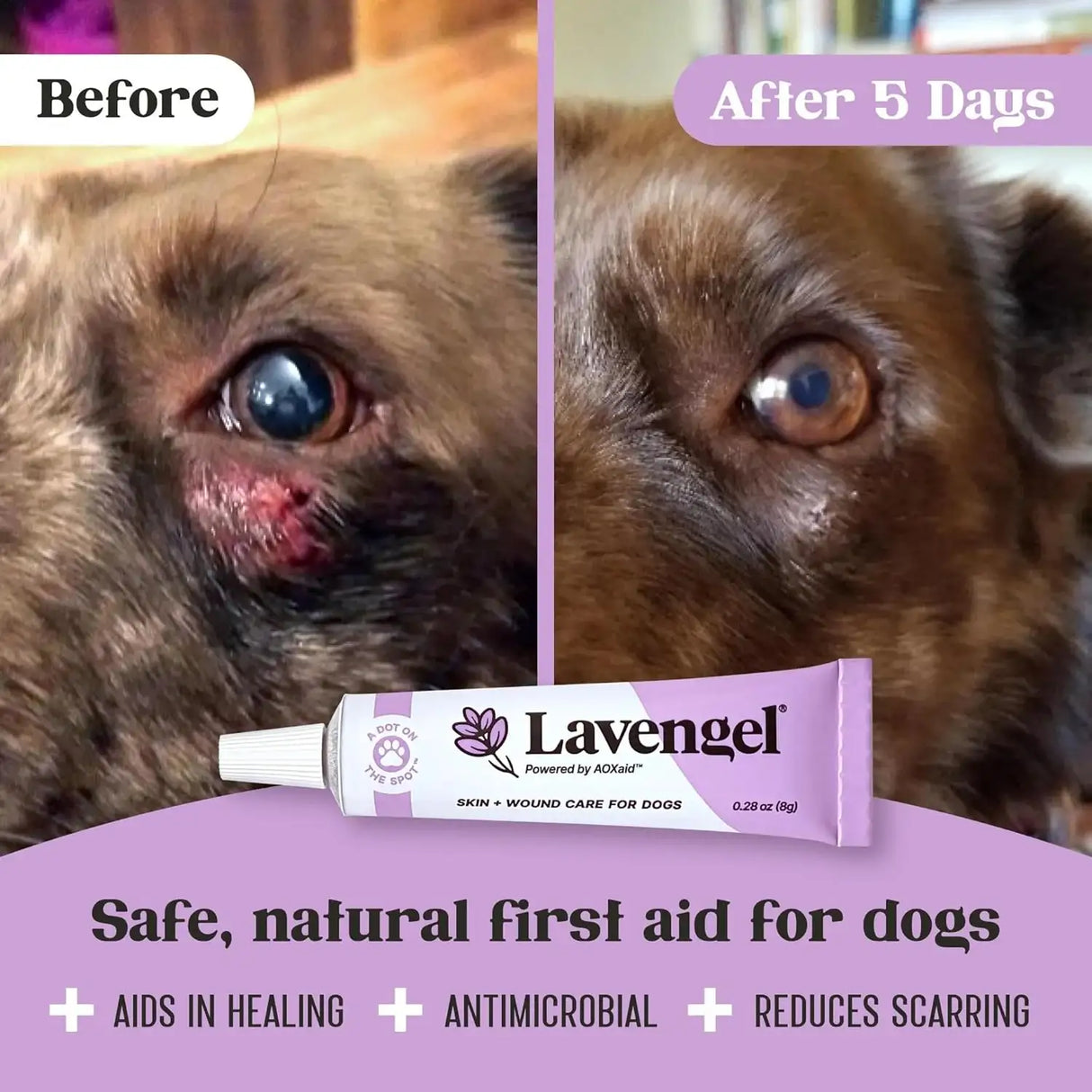 LAVENGEL - Lavengel for Dogs Reduces Skin Irritations and Itching 8Gr. - The Red Vitamin MX - Remedios Para La Picazón De Perros - {{ shop.shopifyCountryName }}