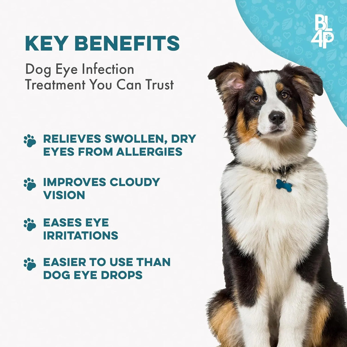 BESTLIFE4PETS - BestLife4Pets Dog Eye Care & Infection Treatment 400 Pastillas - The Red Vitamin MX - Cuidado De Los Ojos De Los Perros - {{ shop.shopifyCountryName }}