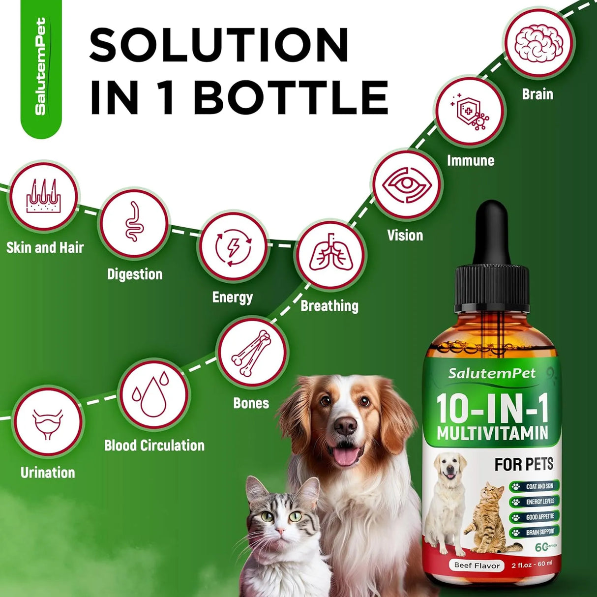 SALUTEMPET - SalutemPet Liquid Multivitamin for Dogs 2 Fl.Oz. - The Red Vitamin MX - Multivitamínicos Para Perros - {{ shop.shopifyCountryName }}