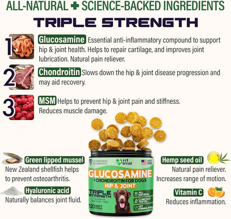 VET TREAT - Vet Treat Glucosamine for Dogs Hip & Joint Supplement 120 Masticables - The Red Vitamin MX - Cuidado De Cadera Y Articulaciones Para Perros - {{ shop.shopifyCountryName }}