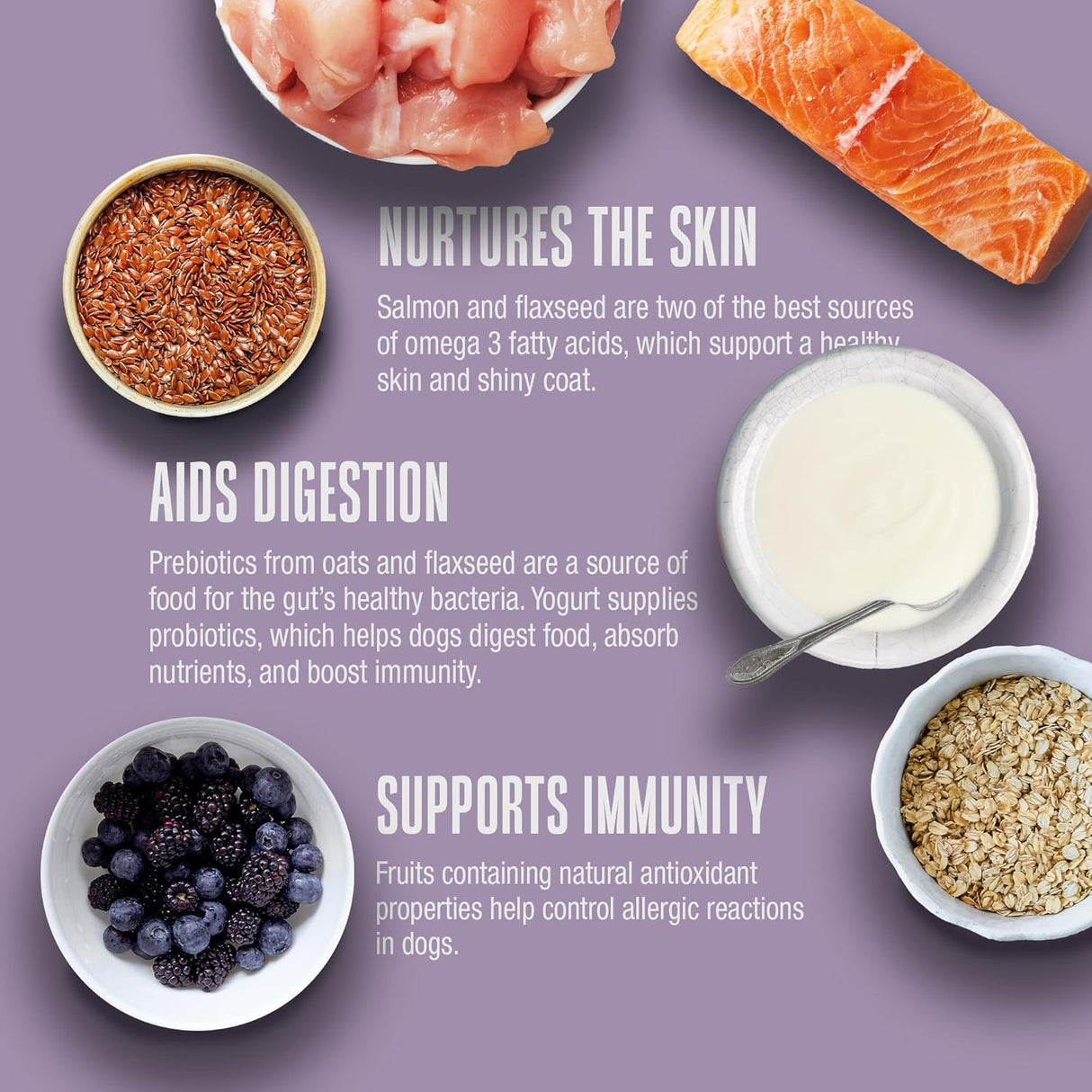 Whole Life Dog Healthy Skin and Coat 90 Servicios 340Gr.