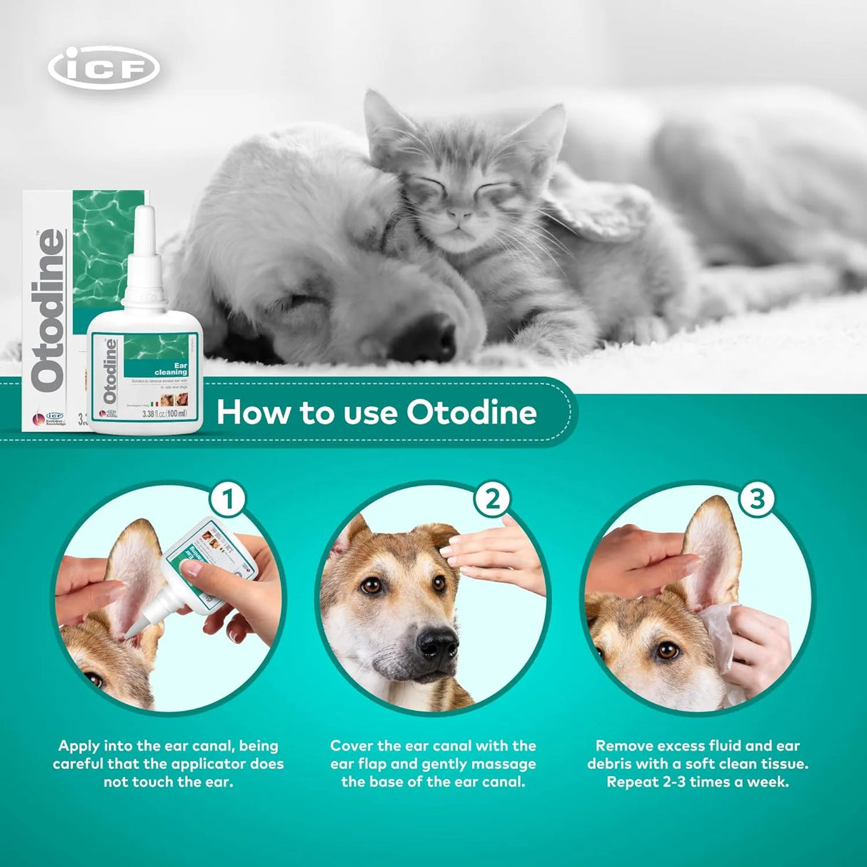 ICF - ICF Otodine Dog Ear Cleaner 100Ml. - The Red Vitamin MX - Cuidado Del Oído De Perros - {{ shop.shopifyCountryName }}