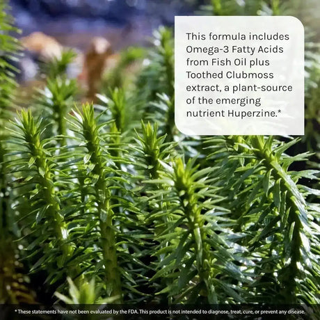 IRWIN NATURALS - Irwin Naturals Ginkgo Smart 60 Capsulas Blandas - The Red Vitamin MX - Suplementos Alimenticios - {{ shop.shopifyCountryName }}