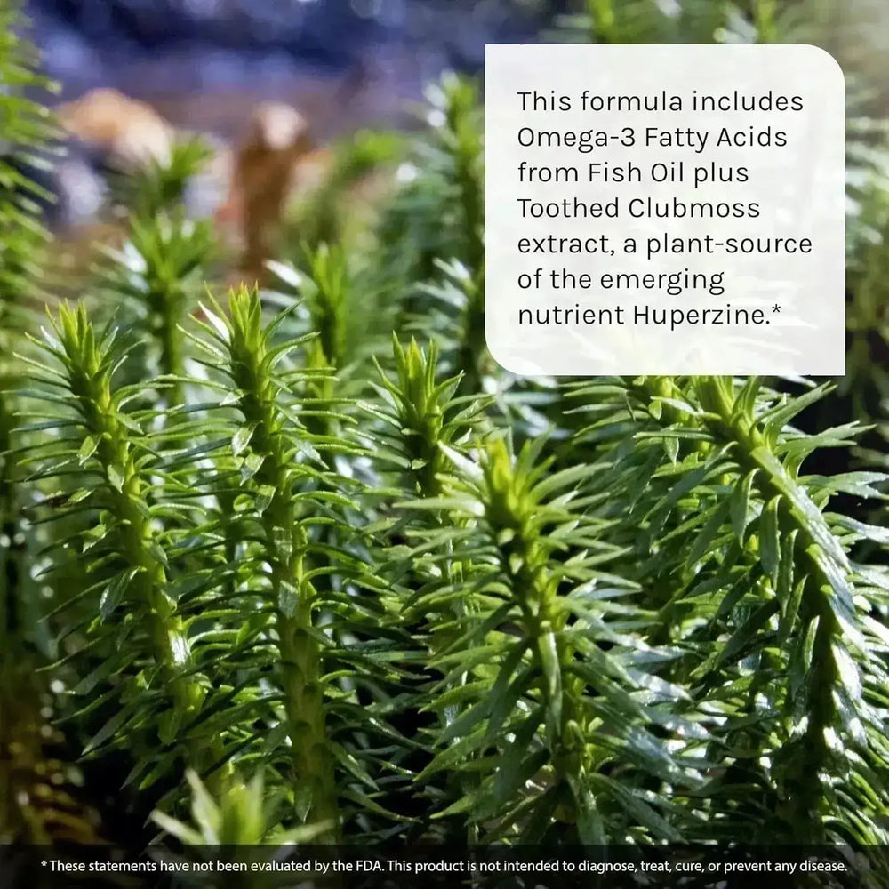 IRWIN NATURALS - Irwin Naturals Ginkgo Smart 120 Capsulas Blandas - The Red Vitamin MX - Suplementos Alimenticios - {{ shop.shopifyCountryName }}