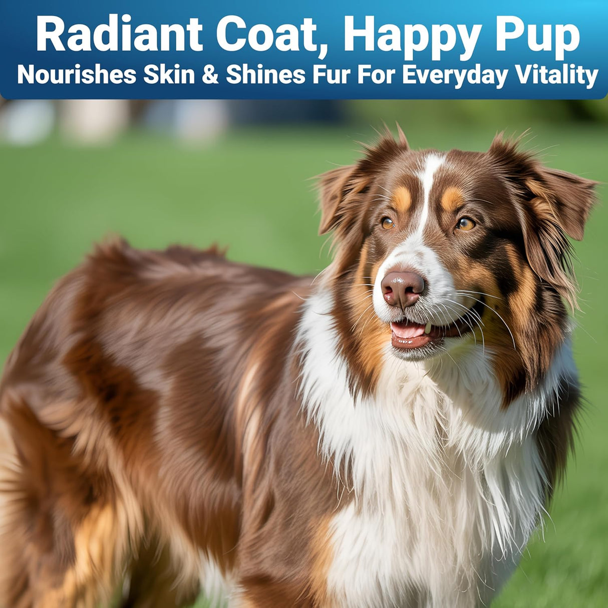 WuffWell Dog Skin and Coat 140 Masticables