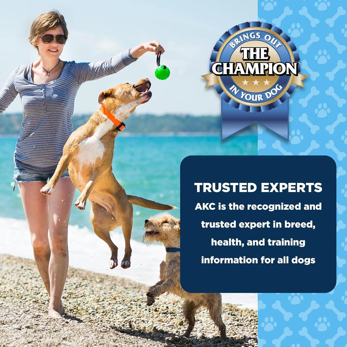 AMERICAN KENNEL CLUB - American Kennel Club Dentacare Smoked Flavor Dog Treats Large Dog Breeds 15 Piezas - The Red Vitamin MX - Cuidado Dental Para Perros - {{ shop.shopifyCountryName }}