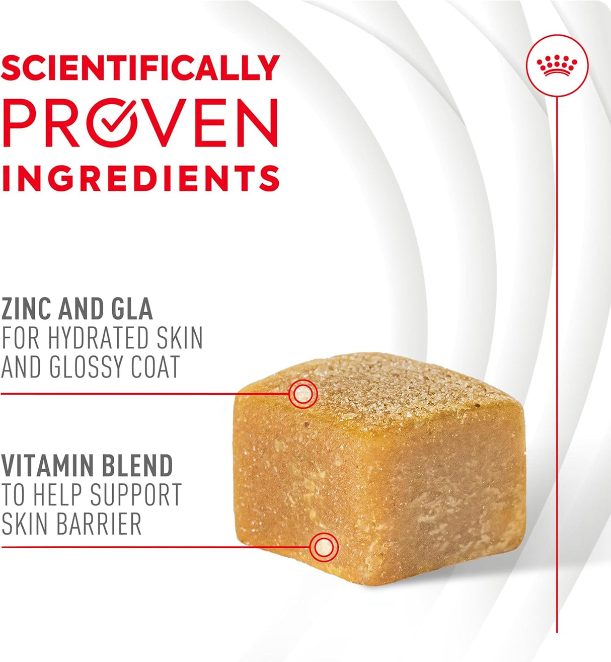 Royal Canin Skin & Coat Supplement Soft Chews for Adult Dogs 60 Masticables