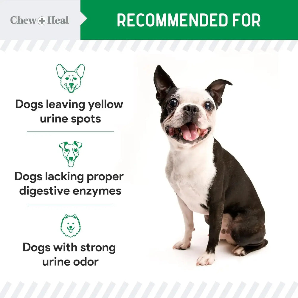 CHEW + HEAL - Chew + Heal Labs Dog Urine Neutralizer for Lawn 120 Masticables 2 Pack - The Red Vitamin MX - Salud De Tracto Urinario Para Perros - {{ shop.shopifyCountryName }}