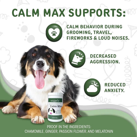 WAGGEDY - waggedy Calm Max 60 Masticables - The Red Vitamin MX - Relajantes Para Perros - {{ shop.shopifyCountryName }}