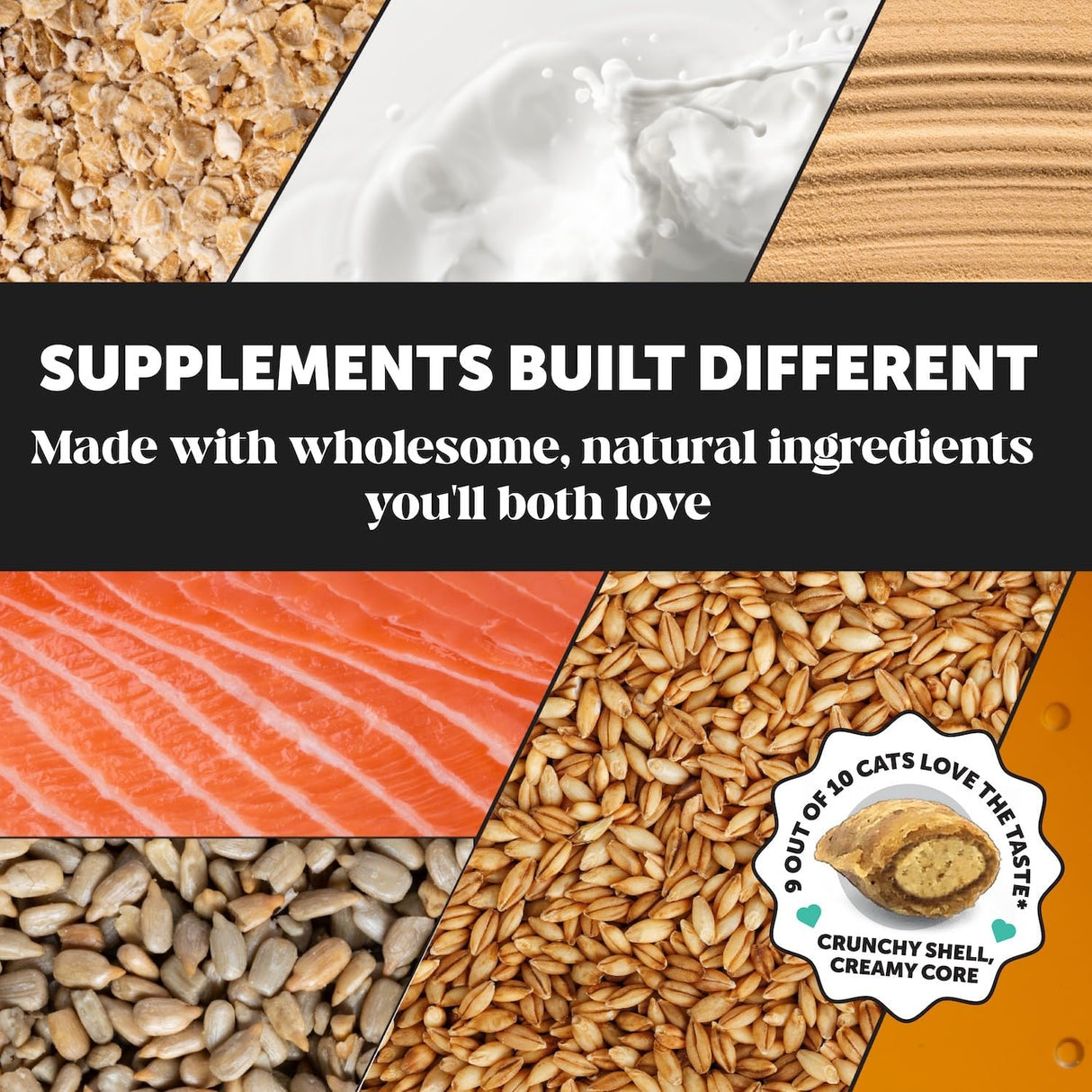 Pet Honesty Fresh Dental Bites for Cats 100Gr.