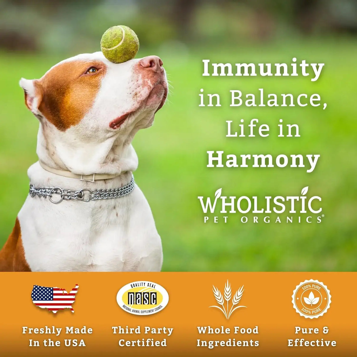 WHOLISTIC PET ORGANICS - Wholistic Pet Organics Pure Colostrum Dog Allergy Relief & Itchy Skin Treatment 57Gr. - The Red Vitamin MX - Remedios Para La Picazón De Perros - {{ shop.shopifyCountryName }}
