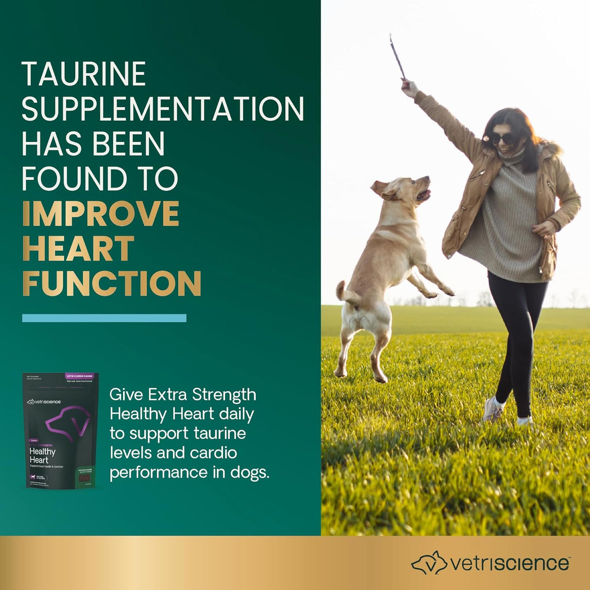 VetriScience Extra Strength Healthy Heart Chews 60 Masticables