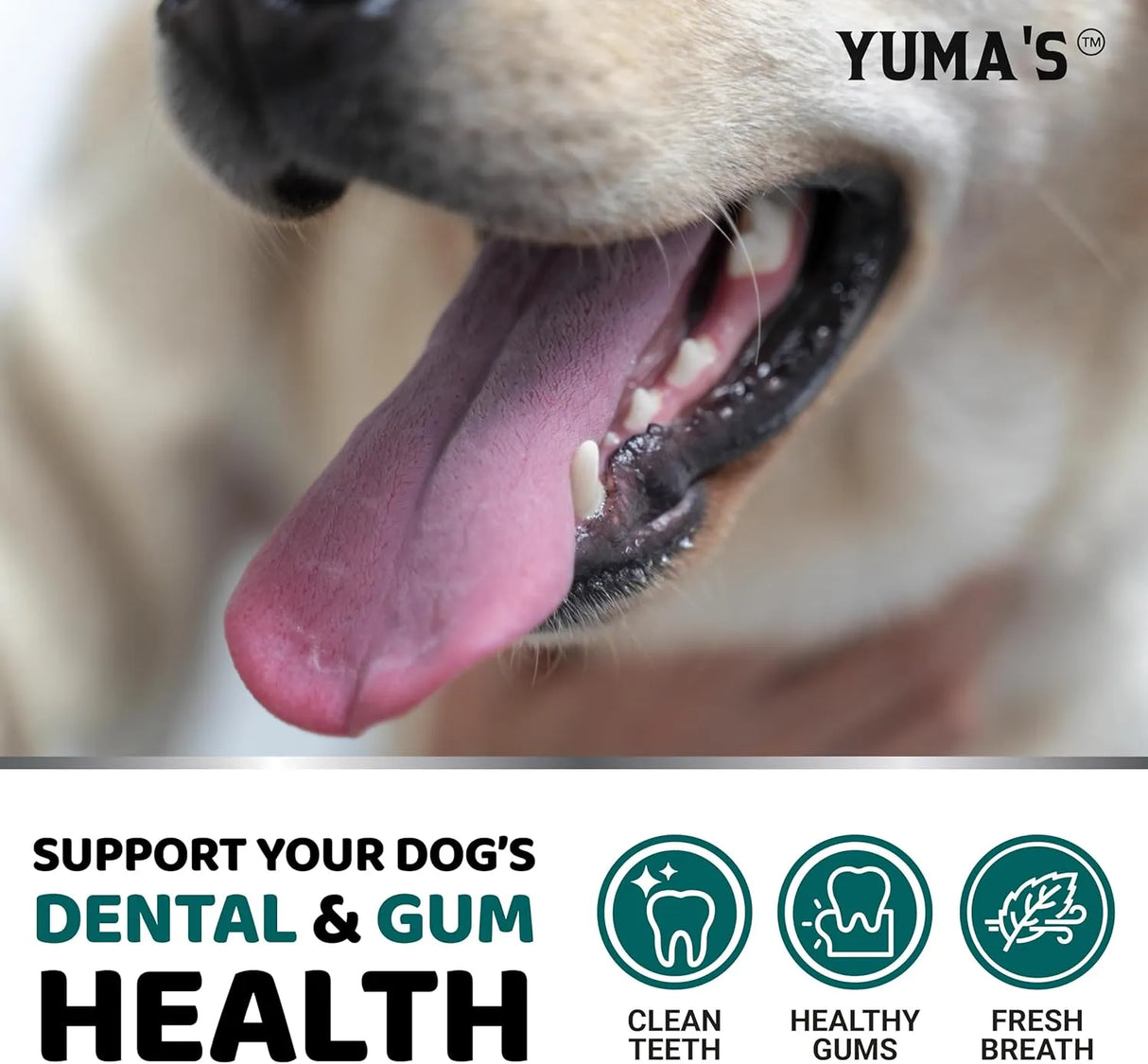 YUMA'S - YUMA'S Dog Dental Powder 60 Servicios 150Gr. - The Red Vitamin MX - Cuidado Dental Para Perros - {{ shop.shopifyCountryName }}