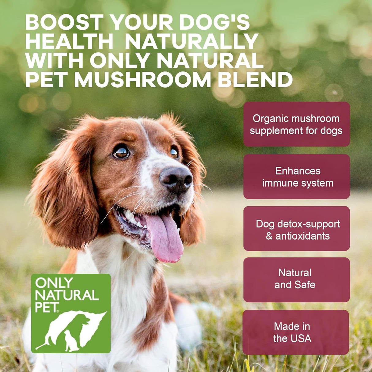 ONLY NATURAL PET - Only Natural Pet Mushroom Blend Immune System Support Supplement for Dogs 60 Masticables - The Red Vitamin MX - Suplementos Herbales Para Perros - {{ shop.shopifyCountryName }}