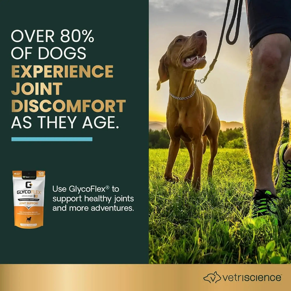 VETRISCIENCE - VetriScience Extra Strength Healthy Hip & Joint Chews 60 Masticables - The Red Vitamin MX - Cuidado De Cadera Y Articulaciones Para Perros - {{ shop.shopifyCountryName }}