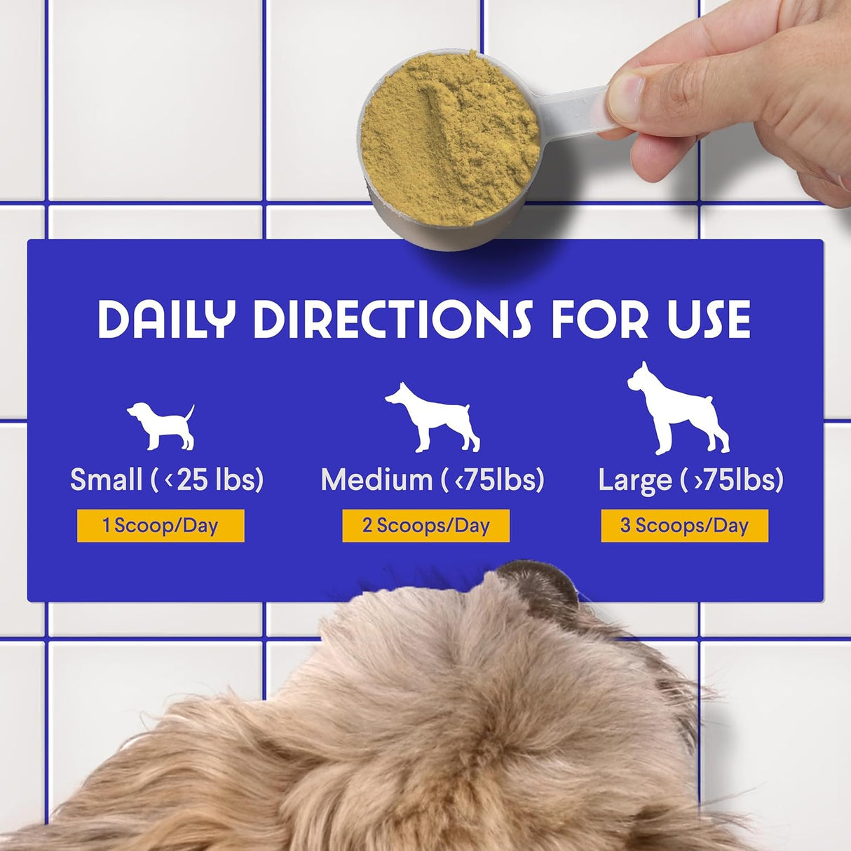 WONDER PAWS - WONDER PAWS Bone Broth Powder with Organic Mushrooms & Collagen 90Gr. - The Red Vitamin MX - Suplementos Herbales Para Perros - {{ shop.shopifyCountryName }}