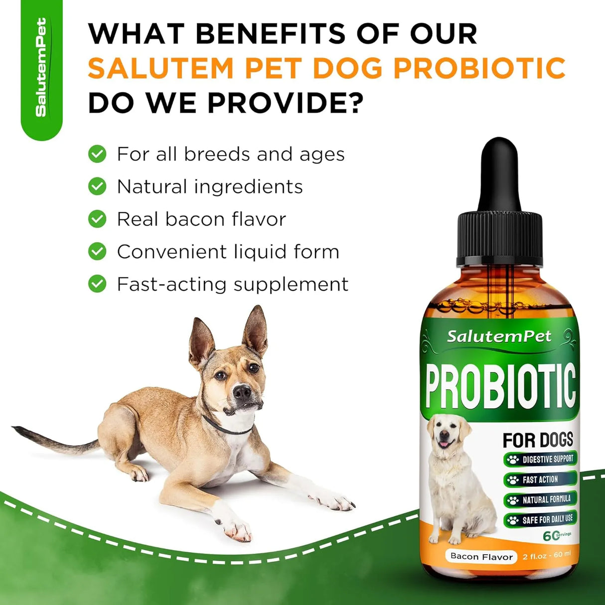 SALUTEMPET - SalutemPet Liquid Probiotics for Dogs Bacon Taste 2 Fl.Oz. - The Red Vitamin MX - Probióticos Para Perros - {{ shop.shopifyCountryName }}