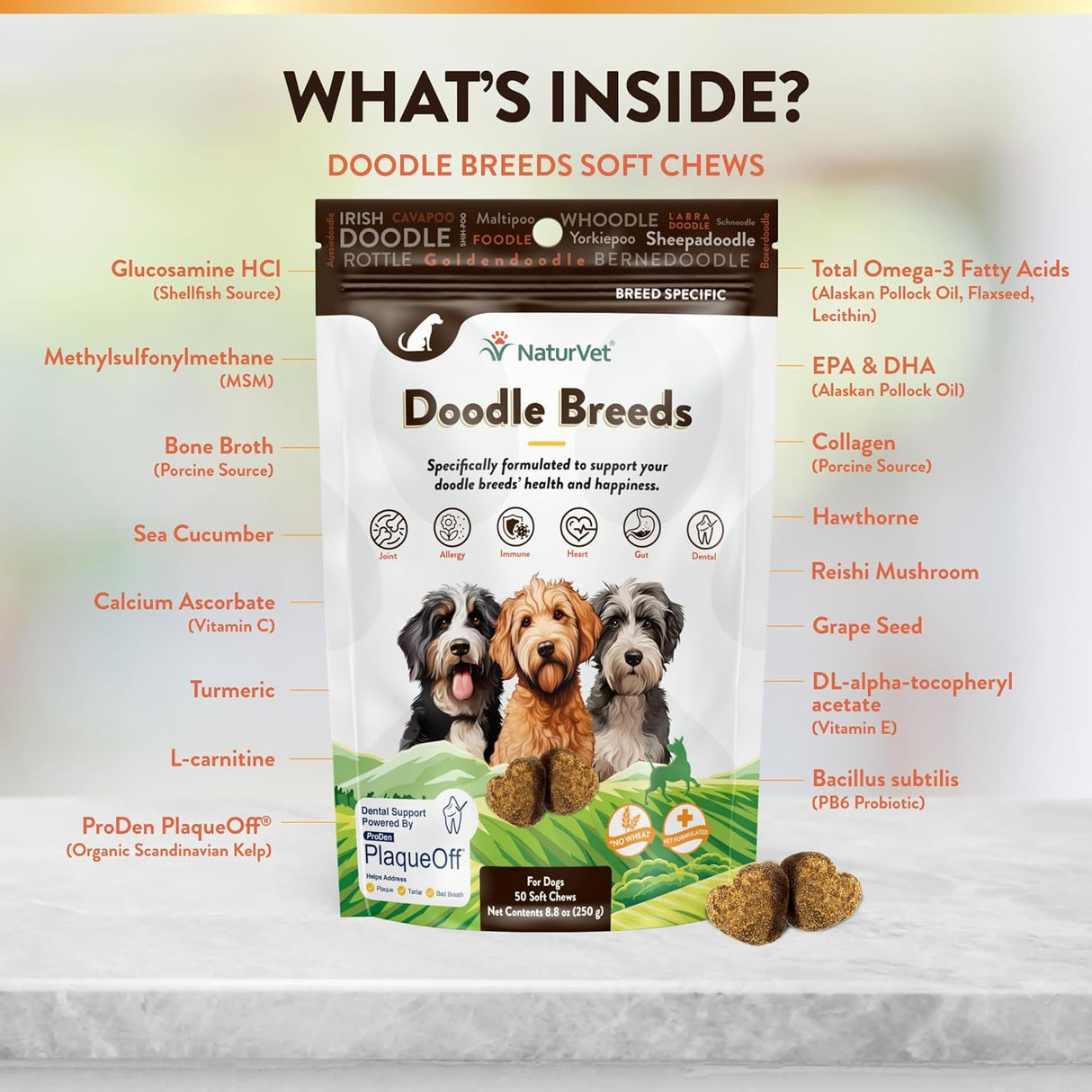 NATURVET - NaturVet Doodle Breeds Supplement 50 Masticables - The Red Vitamin MX - Multivitamínicos Para Perros - {{ shop.shopifyCountryName }}