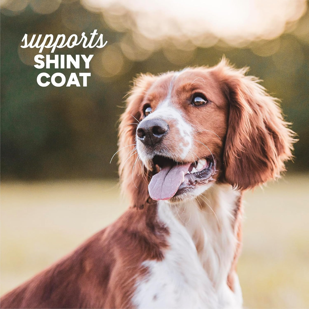 Cloud Star Dynamo Dog Skin & Coat Soft Chews 396Gr.