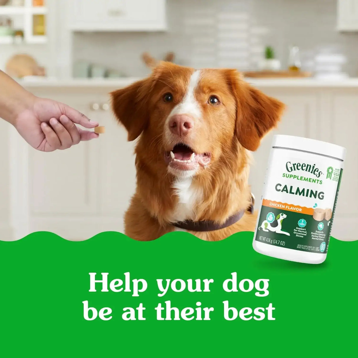 GREENIES - Greenies Supplements Calming Chews for Dogs Chicken Flavor 80 Masticables - The Red Vitamin MX - Relajantes Para Perros - {{ shop.shopifyCountryName }}