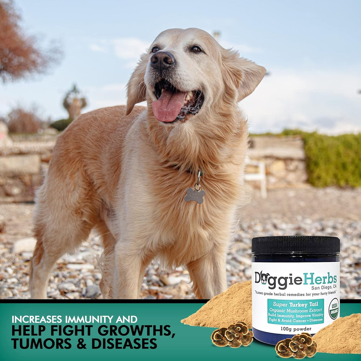 Doggie Herbs Super Turkey Tail Organic Turkey Tail Extract 100Gr.