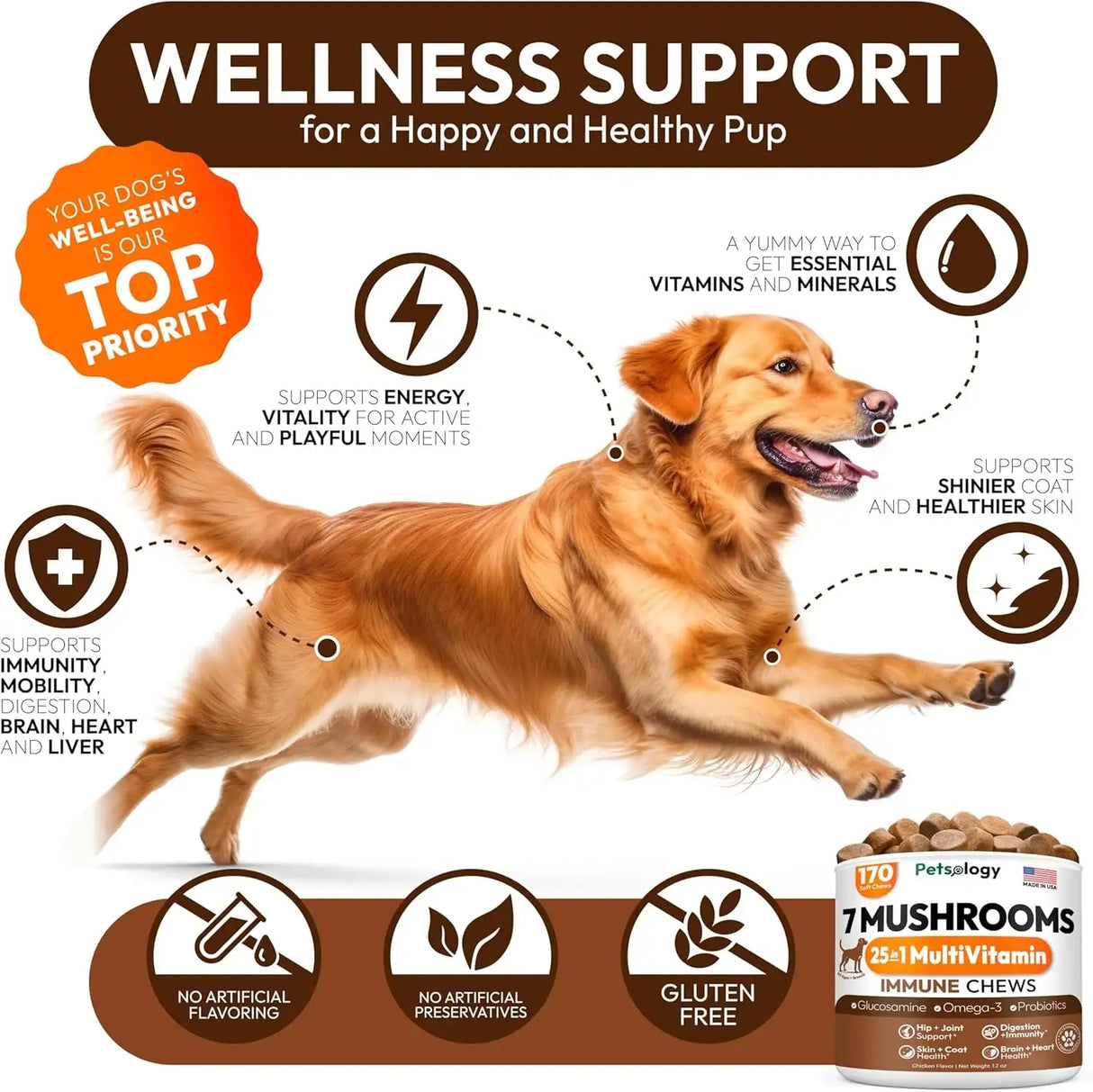 PETSOLOGY - Petsology Multivitamin Mushrooms for Dogs 170 Masticables - The Red Vitamin MX - Multivitamínicos Para Perros - {{ shop.shopifyCountryName }}