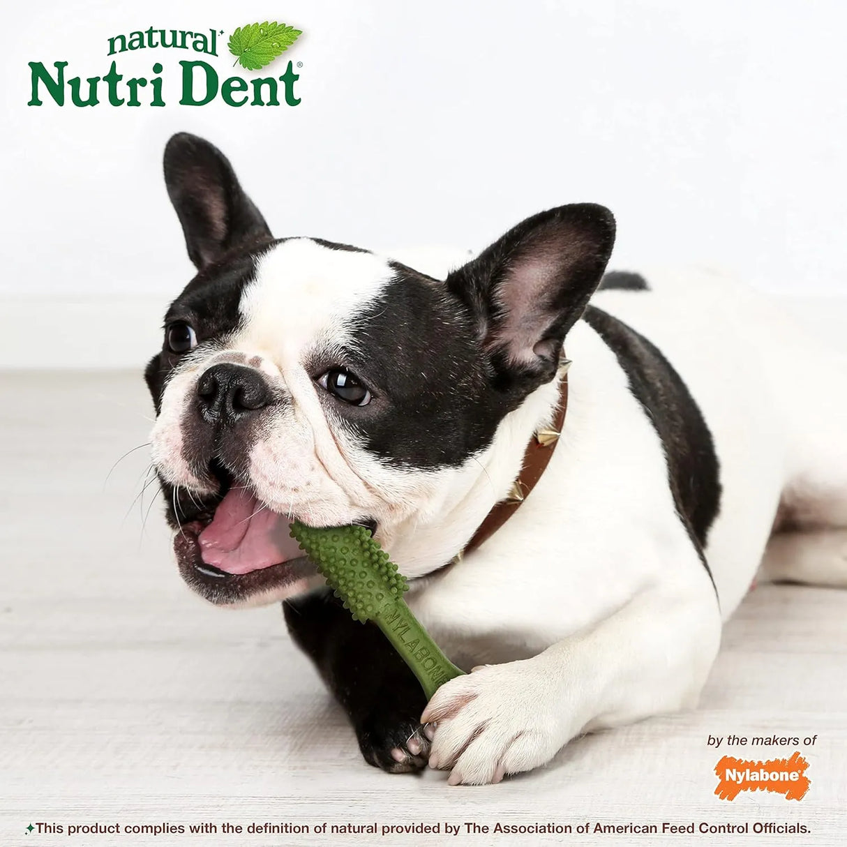 NYLABONE - Nylabone Nutri Dent Dog Dental Treats Fresh Breath Flavor Medium 40 Piezas - The Red Vitamin MX - Cuidado Dental Para Perros - {{ shop.shopifyCountryName }}
