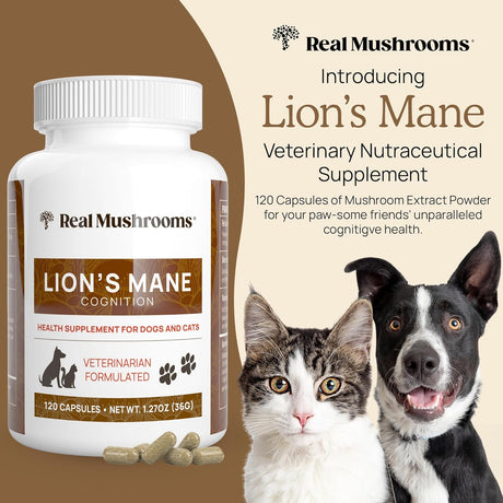 REAL MUSHROOMS - Real Mushrooms Lion’s Mane Pet Mushroom Supplement 120 Capsulas - The Red Vitamin MX - Suplementos Herbales Para Perros - {{ shop.shopifyCountryName }}