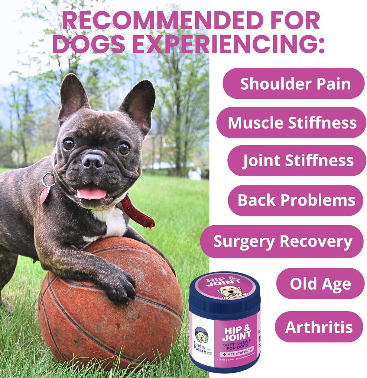 Under the Weather Pet Hip & Joint Chews for Dogs 60 Masticables